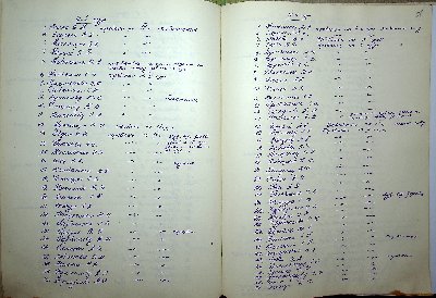 53