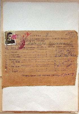 293