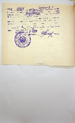 259