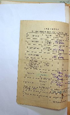 261